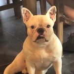 Brody binder - @binder_brody - Instagram