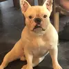 Brody Binder - @brody.binder - TikTok
