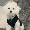 Brody and Bentley - @brody.blake - TikTok