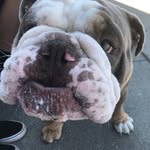 Brody Brooks - @brody_brooks_doll - Instagram