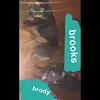brooks and brody💗🐶 - @brooks._.brody - TikTok