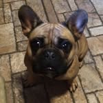 Brody Bruce - @brody.bruce.3597 - Instagram