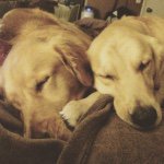 Brody & Buck - @brody_n_buck - Instagram
