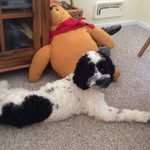 Brody Buck Tammaro - @brody_bt.10 - Instagram
