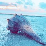 Brody Cameron - @creative_outdoors99 - Instagram