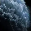 user2380633763469 - @brodycarter1314 - TikTok