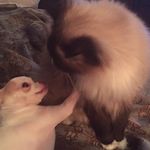 Brody Cates - @catesbrody - Instagram