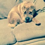 Brody - @brody_hess11d - Instagram