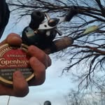 Brody Lynn Smith Gaines - @_fishen_is_life_11_ - Instagram