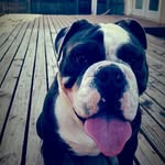 brody lynn wright - @brodylynnwright - Instagram