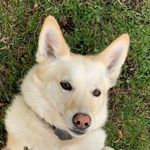 Brody Miles - @brodymiles1 - Instagram