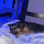 brody ✝️ - @brody.pearson1 - Instagram