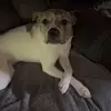 Brody_Pearson7 - @brodypearson55 - TikTok