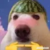 brodypearson7 - @applepieyum0 - TikTok