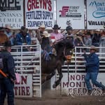 Brody Shields - @brody2676 - Instagram