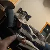 brodyshields203 - @brodyshields203 - TikTok