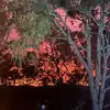 Bronson_Baker88 - @nahajomzuwn - TikTok