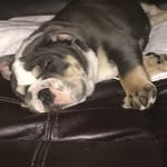 Bronson Baker - @bronson_baker123 - Instagram
