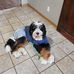 Bronson Payne - Facebook