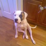 Bronson Payne - @tomberlin4sale - Instagram
