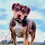 @bronsonwalker22 - Instagram