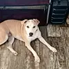 bronsonwalker761 - @bronsonwalker761 - TikTok