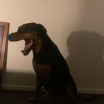 Bronson White - @bronson.white_ - Instagram