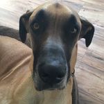 Bronson White - @bronsonwhite_yv - Instagram