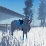 Bronte Smith - @horse_creator_official - Instagram
