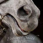 Bronwen - @bronwen_smith_photography - Instagram