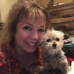 Bronwen Smith Barry - @bronwensmithbarry - Instagram