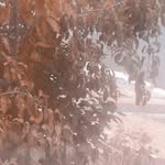 Bronwyn Atkinson - @sweet.rot.and.regrets - Instagram