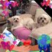 Bronwen Duffie - Facebook