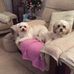 Bronwen Duffie - Facebook