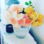 Bronwyn Gray - @bronstar18 - Instagram