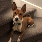 Bronwyn Gray - @bronwyn.gray - Instagram