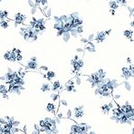 Bronwyn Hill - Facebook