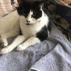 Bronwyn Johnston - Facebook