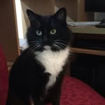 Bron Lowe - @bronwynlowe1 - Instagram