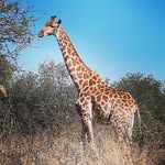 Bronwyn Marshall - @instabronzy - Instagram