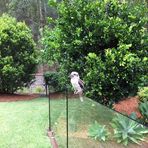 Bronwyn Marshall - Facebook