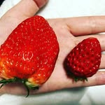 Bronwyn Murphy - @bronwynmurphy6036 - Instagram