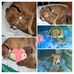 Bronwyn Roberts - Facebook