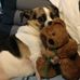 Bronwyn Roberts - Facebook