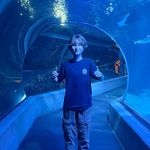 Bronwyn Roberts - @bronwynthegpblin - Instagram