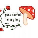 Bronwyn Ross - @peaceful_imaging - Instagram