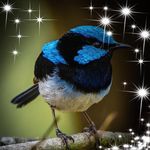 Bronwyn Ross - @bronwyn.ross.522 - Instagram