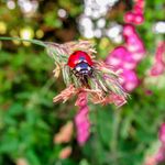 Bronwyn Ross - @all_thingsbright - Instagram