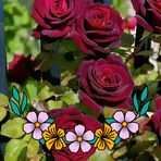 Bron Roy - Facebook
