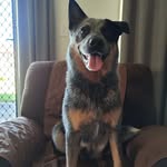 Bronwyn Simpson - @bronny.64 - Instagram